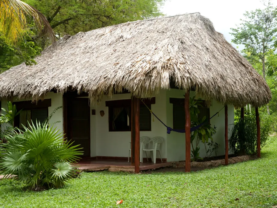 Sinharaja & Knuckles